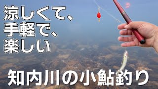 知内川の小鮎釣り [upl. by Nevile]