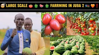 MEET MAGAI ALIER ALUONG FARMER WITH SUCCESSFUL 📈AGRIBUSINESS IN JUBA 2 amp MAPAWSOUTH SUDAN 🇸🇸 🍅🍉🫑❗️ [upl. by Sitrik257]