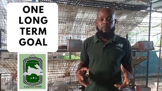 Trinidad Rabbit Farming  LongTerm Goal [upl. by Dunstan]