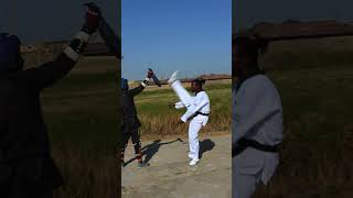 Taekwondo Axe kick Roundhouse kick tutorial shortvideo shortsviral taekwondo [upl. by Eno164]