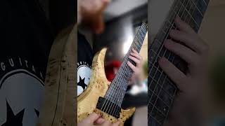 Tosin Abasi Fishman pickups on INSANE headless 8 string guitar shorts abasi fishman [upl. by Yrennalf]