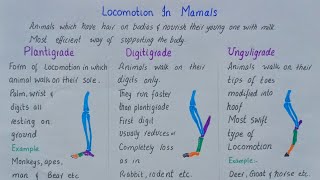 Locomotion in mammals  plantigrade digitigrade unguligrade  class 12 [upl. by Jutta555]