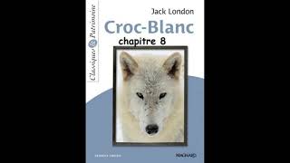 Chapitre 8  Croc Blanc de Jack London  version abrégée [upl. by Sihtam]