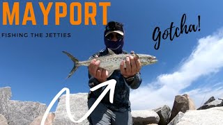 Mayport Jetty Fishing with Dinsmore Outdoors Jacksonville FL [upl. by Shererd]