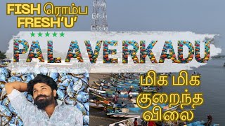 பழவேற்காடு சந்தையில் மீன் வாங்குறதுக்கு முன்னாடி இத பாருங்க  Palaverkadu Fish Market  Pulicat [upl. by Oirifrop]