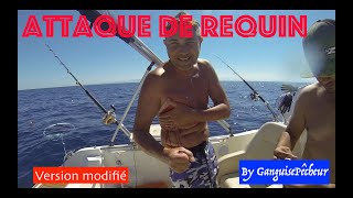 Attaque de Requin en Méditerranée  Version Non censurée [upl. by Jo-Anne769]