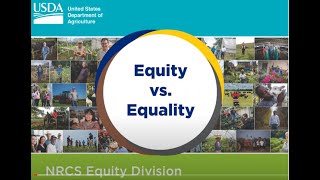 Equity vs Equality [upl. by Edrei540]