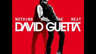 DAVID GUETTA  Bassline rmx  mix [upl. by Htebasile]