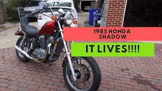 85 honda shadow lives installing a holly fuel pump [upl. by Anerol]