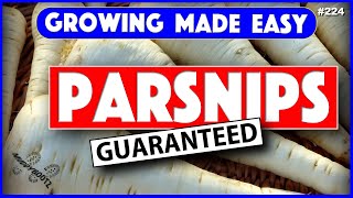 🌻224 🌻 HOW TO GROW PARSNIPS 🌻 GROWING MADE EASY 🌻 STEP BY STEP GUIDE 🌻 [upl. by Ynaffyt]