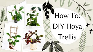 How To Make a Trellis for your Houseplants and Hoyas [upl. by Korenblat]