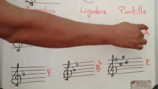 Cómo leer partitura fácil y rápido 3 TUTORIAL Obeth Toledo [upl. by Ynotna657]