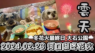 【河口湖冬花火】犬と猫とわたしの夜遊び〜富士山の日🗻雲の隙間に咲く煙火🎇〜 [upl. by Sonahpets]