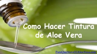 Como Hacer Tintura de Aloe Vera [upl. by Aihsik]