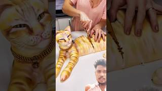 Cat cake reality 🐈 cat cakeorfake viral [upl. by Bilbe615]