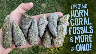 Finding Fossils While Exploring a Private Creek in Ohio [upl. by Tnecnev]