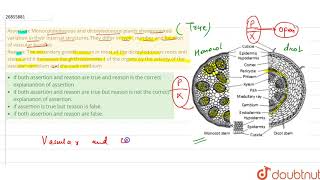 Assertion Monocotyledonous and dicotyledonous plants shownmarke [upl. by Tala131]