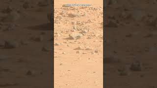 Perseverance Rover Sol 1289  Mars New 4k Video  Mars 4k Video  Mars In 4k  Mars shorts [upl. by Hemminger]