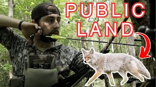 Public land hunt GONE WRONG Learning Experience [upl. by Lartnom]