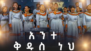 አንተ ቅዱስ ነህ ድንቅ የአምልኮ ጊዜ  LIJ TV  APOSTLE GIZACHEW [upl. by Yrocaj]