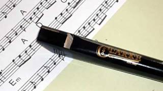 Vivaldi Flute Sonata 1st Movement played on Penny Whistle Tin Whistle [upl. by Leod833]