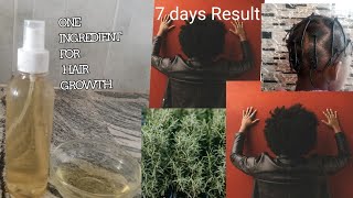 Miracle Hair Growth with Rosemary Water in 7 Days [upl. by Rbma]