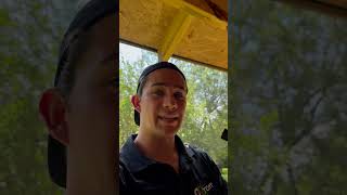 Carpenter Bee Nest pestcontrol [upl. by Jari]