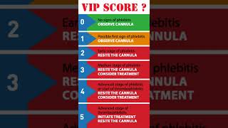 PHLEBITIS SCORE VIP SCORE  IV CANNULA CHECKLIST nurses norcet nclex cannulation phlebotomy [upl. by Sternick741]