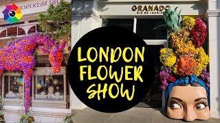 LONDON FLOWER SHOW  CHELSEA [upl. by Nylarak929]