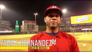 Solo Deporte ⚾ 36  Yadiel Hernández [upl. by Kienan]