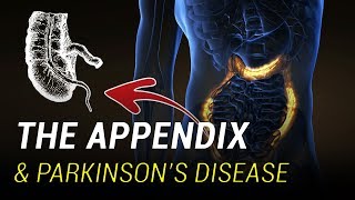 The Appendix May Play A Role in Parkinson’s Disease [upl. by Scrogan532]