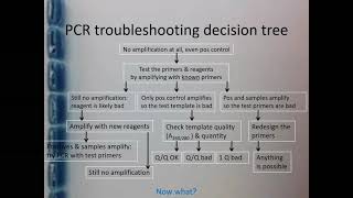 PCR amp qPCR Troubleshooting  Part 4 [upl. by Aronoh]