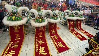 獅城勁勇龍獅院 Jin Yong Lion amp Dragon Dance Performance  Jurong Point Carlsberg CNY RoadShow on 21124 [upl. by Cowie698]