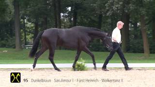 Hanoverian Stallion Licensing and Sales  CatalogNo 95 [upl. by Hindu]