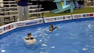 Twiggy the WaterSkiing Squirrel at the Novi Boat Show [upl. by Aihsile396]