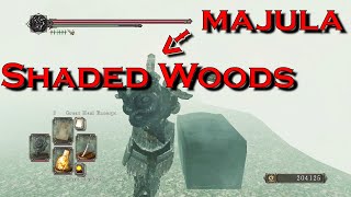 How to get to shaded woods  shaded ruins from majula  Dark Souls II SOTFS [upl. by Nnael]