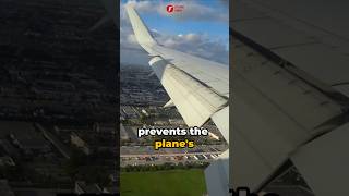 Why are Most Airplanes White facts flashinfo airplane why [upl. by Orji]