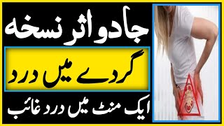 Kidney pain Treatment  Gurdy main dard ka fori Aur Gharelu ilaj By Hakeem Zia Shahid [upl. by Mohandas]