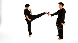 How to Do a Roundhouse Kick  Taekwondo Training [upl. by Cornwall]