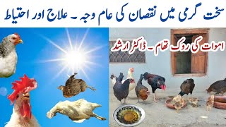 How to Help a Dehydrated Chicken  Dealing with Dehydration in Poultry Birds  Dr ARSHAD [upl. by Nirraj]