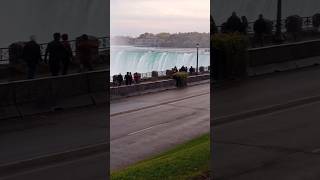 Niagara Falls from the Canadian side shorts video like love nature explore travel fun fall [upl. by Rehpinej]