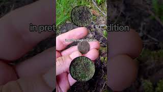 Unearthing Åboland with my metal detector metaldetecting finland [upl. by Adnah]