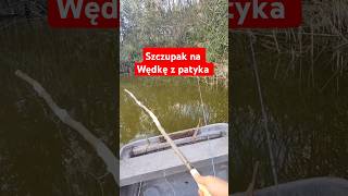 Szczupak na wędkę zrobioną z patyka szczupak wędkarstwo fishing [upl. by Onidranreb]