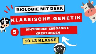 Klassische Genetik  5  Dihybrider Erbgang amp Kreuzungen 3 Mendelsche Regel  10  13 Klasse [upl. by Sremmus]