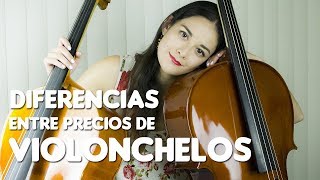 Diferencias entre precios de Violonchelos  Tipos de cellos y costos [upl. by Gamages]