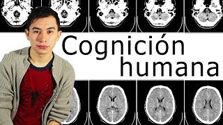 ¿Qué es la cognición EXPLICACIÓN RÁPIDA Neuropsicologia [upl. by Etnaud484]