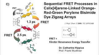 Photoinduced Energy Transfer ReEdit René M Williams UvA Förster and Dexter mechanims FRET [upl. by Audre]