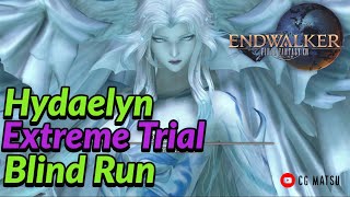 Hydaelyns Call Extreme Trial  FFXIV Endwalker  Blind Run [upl. by Gilcrest950]