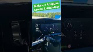 Mokkae Adaptive Cruise amp Autosteer in Action 🤩 [upl. by Lyrrad]