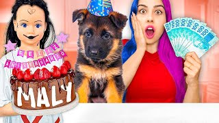 FIZEMOS o ANIVERSÁRIO dos CACHORRO MALY apareceu [upl. by Gilberta]